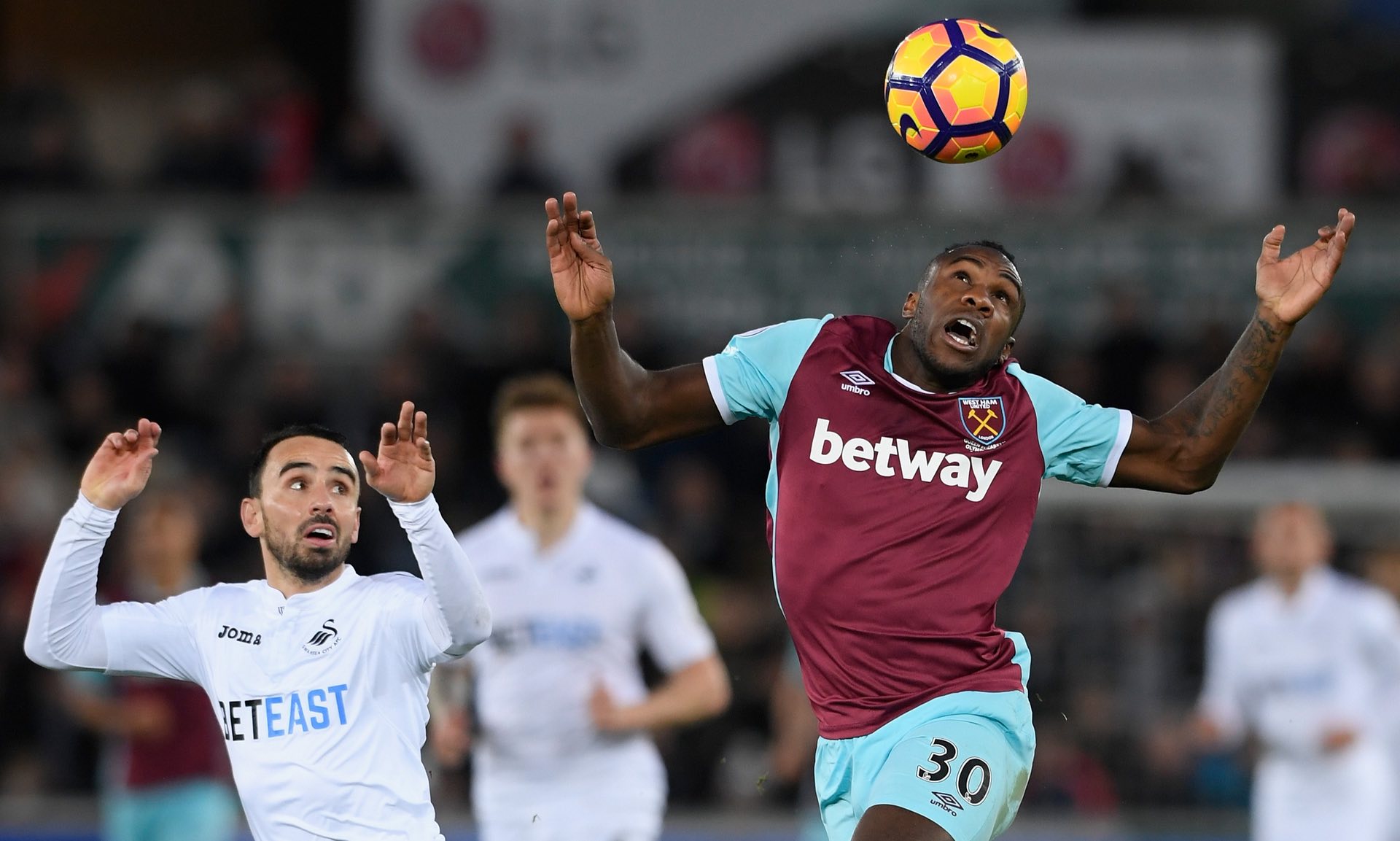 不仅提升了 不仅提升了